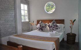 Stone Creek House